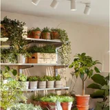 Светильник IKEA NYMANE с лампами Philips (photo 6)