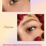 Ламинирование ресниц (photo 1)