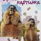 Пазл Step Puzzle с сурками 500 деталей (photo 1)