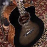 Washburn Bella Tono Vite S9V (photo 1)