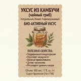 Чайный гриб (photo 4)