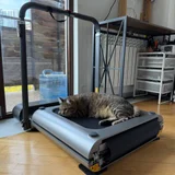Беговая дорожка Xiaomi Kingsmith WalkingPad Treadmil (photo 3)