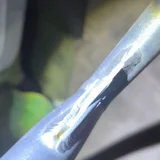 Руль от трюкового самоката Zefir Lite V2 (photo 2)