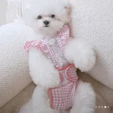 Набор для собак и кошек: кенгуру и трусики — Maltese dog, toy poodle (photo 3)