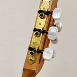 Классическая гитара Valencia VC354WR 4/4 с чехлом (photo 8)