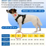 Анатомическая шлейка S размера — toy terrier, muzzle (photo 5)