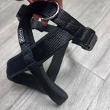 Новый ошейник (красный) — sandal, barbell (photo 3)