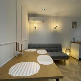1-комнатная квартира, 46 м², Нижарадзе 20 — studio couch (photo 3)