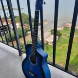 Акустическая гитара — acoustic guitar (photo 2)