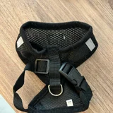 Набор зоотоваров: чесалка, воротник и шлейка — holster (photo 2)