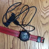 Часы Garmin fenix 2 — stethoscope, whistle, hand blower (photo 2)