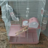 Клетка для грызунов 30x45x70 с кормом — electric fan (photo 1)