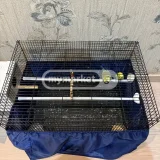 Попугаи 6 штук с галителями (пара и 4 птенца) — carpenter's kit, hamper (photo 4)