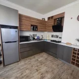 Квартира 1-комнатная, 60 м² — microwave (photo 4)