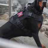 Тактическая шлейка для собак — bulletproof vest (photo 2)