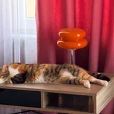 Кошка Кичи — tabby, tiger cat (photo 3)