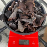 Черная лисичка, свежий сбор — hen-of-the-woods, caldron, wok (photo 4)