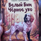 Набор книг (3 шт.) — English setter (photo 3)