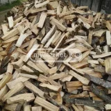 Топливный материал — hen-of-the-woods, stinkhorn (photo 3)
