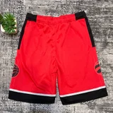 Шорты Nike NBA — swimming trunks (photo 2)
