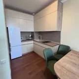 Квартира 1+1, 50 м² — shoji, home theater, wardrobe (photo 1)