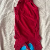 Боди для кота или мелких пород собак — velvet, Christmas stocking (photo 1)