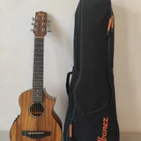 Электроакустическая гитара Ibanez EWP12EWB-OPN — acoustic guitar, electric guitar (photo 1)