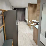 Современная студия в центре Батуми — sliding door, window shade (photo 2)