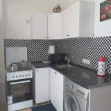 Квартира 1+1, 40 кв.м, улица 1-й переулок Ангиса — microwave, stove (photo 5)