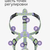 Анатомическая шлейка для собак KUSAKA S — analog clock (photo 3)