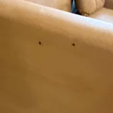 Угловой диван — tick (photo 5)