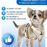 Анатомическая шлейка S размера — Chihuahua (photo 1)