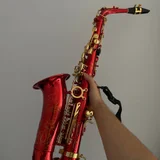 Альтсаксофон с чехлом, ремнями и тростями — sax (photo 2)