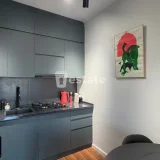 Современная 1+1 квартира, Меликишвили 69 — stove, plate rack (photo 3)