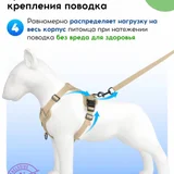 Анатомическая шлейка S размера (photo 7)