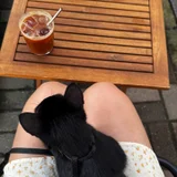Кошечка Нация в добрые руки — schipperke, groenendael (photo 3)