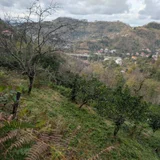 Земельный участок в селе Зеда Шарабидзееви — valley, cliff (photo 2)