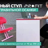 Ортопедический стул Profit — web site, envelope (photo 4)