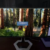 Монитор Xiaomi Mini Led G Pro 27i — park bench (photo 3)