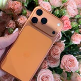 iPhone 17 Pro Max 256Gb eSIM (photo 1)