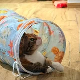 Кошка Кичи — plastic bag (photo 2)
