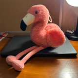 Мягкие игрушки кот-перевертыш и розовый фламинго — teddy, dumbbell (photo 3)