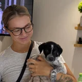 Щенок в добрые руки — bluetick (photo 2)