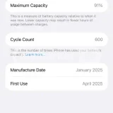 iPhone 16 Pro Max 256GB — web site (photo 2)