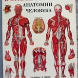 Библия, старый и Новый Завет (photo 7)
