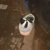 Пакет с женскими вещами — ashcan, plastic bag (photo 1)