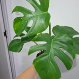 Женское счастье (photo 8)