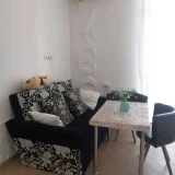 Квартира 1+1, 40 кв.м, улица 1-й переулок Ангиса — studio couch (photo 3)