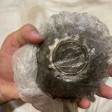 Велоштуки, одежда, лекарства и разное — shower cap, chambered nautilus, trilobite (photo 2)