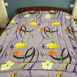 Новое теплое одеяло 180x200 — sleeping bag, swimming trunks, quilt (photo 1)